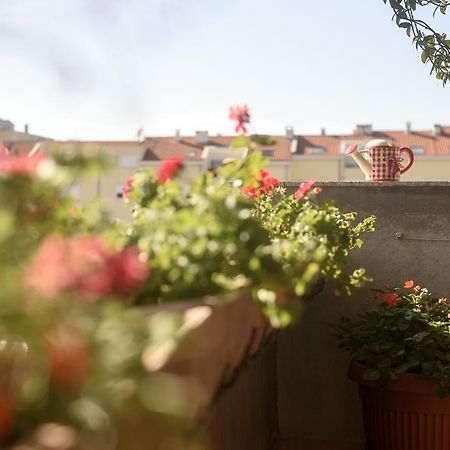 شقة Basic Apartman زادار المظهر الخارجي الصورة